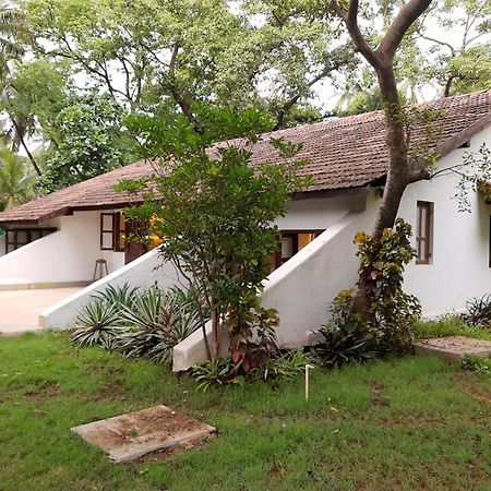 Banyan House - Luxurious 4 Bedroom Villa On One Acre, Near The Beach Nagaon  Exteriér fotografie
