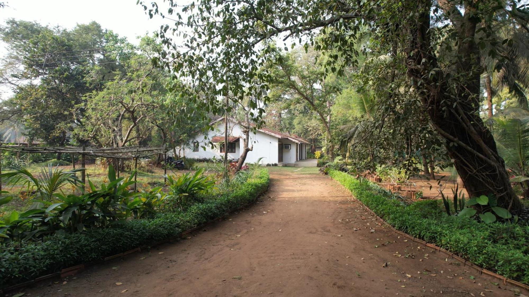 Banyan House - Luxurious 4 Bedroom Villa On One Acre, Near The Beach Nagaon  Exteriér fotografie