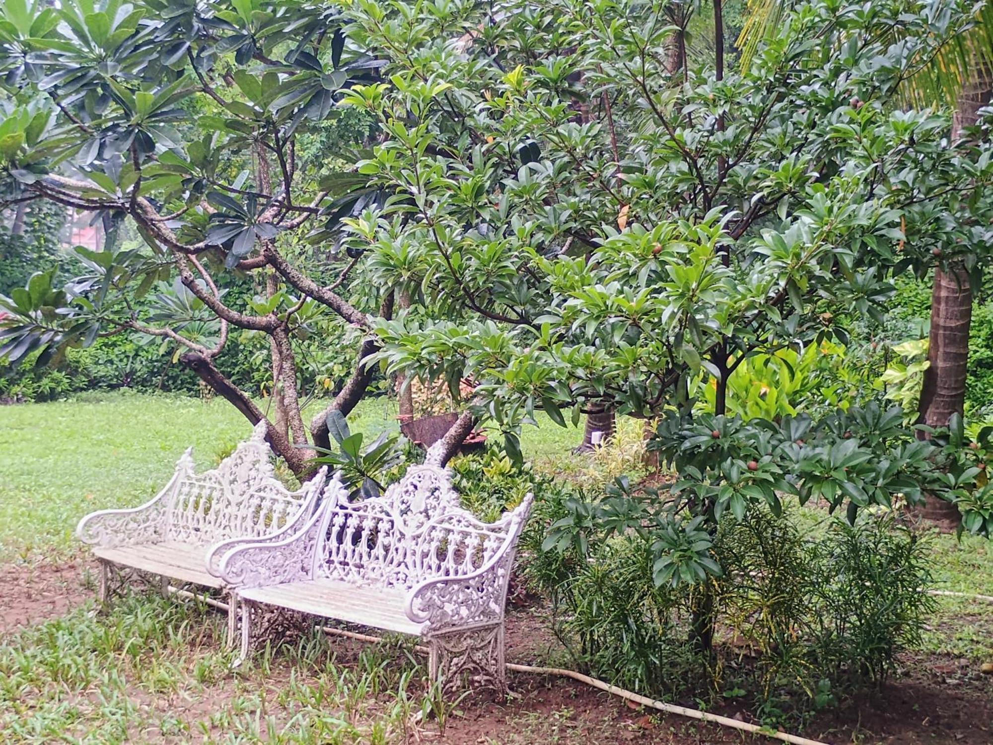 Banyan House - Luxurious 4 Bedroom Villa On One Acre, Near The Beach Nagaon  Exteriér fotografie